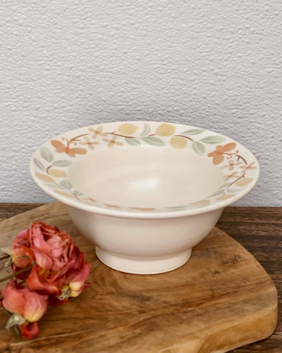 Artist 文鳥舎 15cm Bowl Lemon/Strawberry