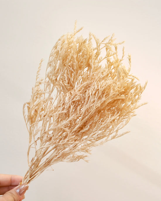 Japan Preserved Flower