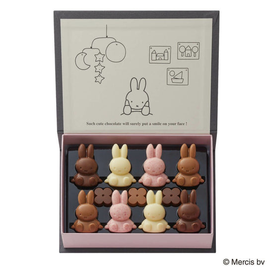 Japan Miffy Chocolate C (11 pieces)