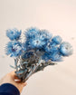 Japan Preserved Flower