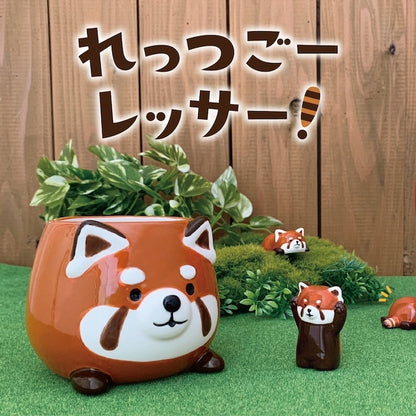 Decole Red Panda Series (Gift Box)
