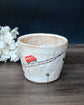 Artist 铃木明美 Red Car 240ml Free Cup