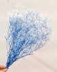 Japan Preserved Flower