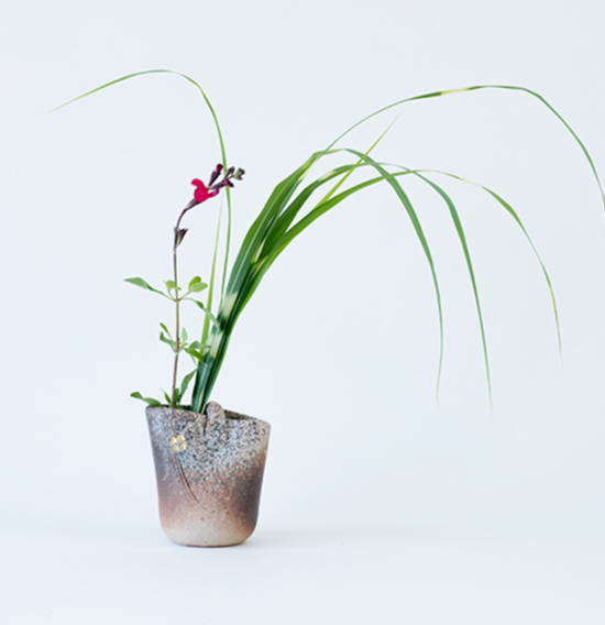 Shigaraki S Flower Vase(Gift Box)
