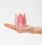 Japan Floyd Tulip Pair Glass Cup(Gift Box)