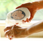 Japan Sponge Wipes