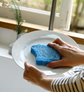 Japan Sponge Wipe 2PCS
