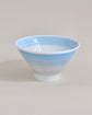 Hasami ware Fuji Rice Bowl