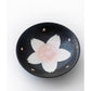 Arita ware Pearl Sakura Teapot set(Gift Box)