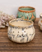 Artist 西本なほ 330ml Free Cup