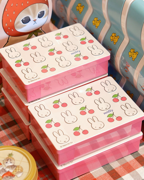 Japan Miffy Chocolate B (11 pieces)