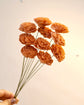 Japan Sola Wood Flower