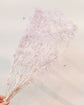 Japan Preserved Flower