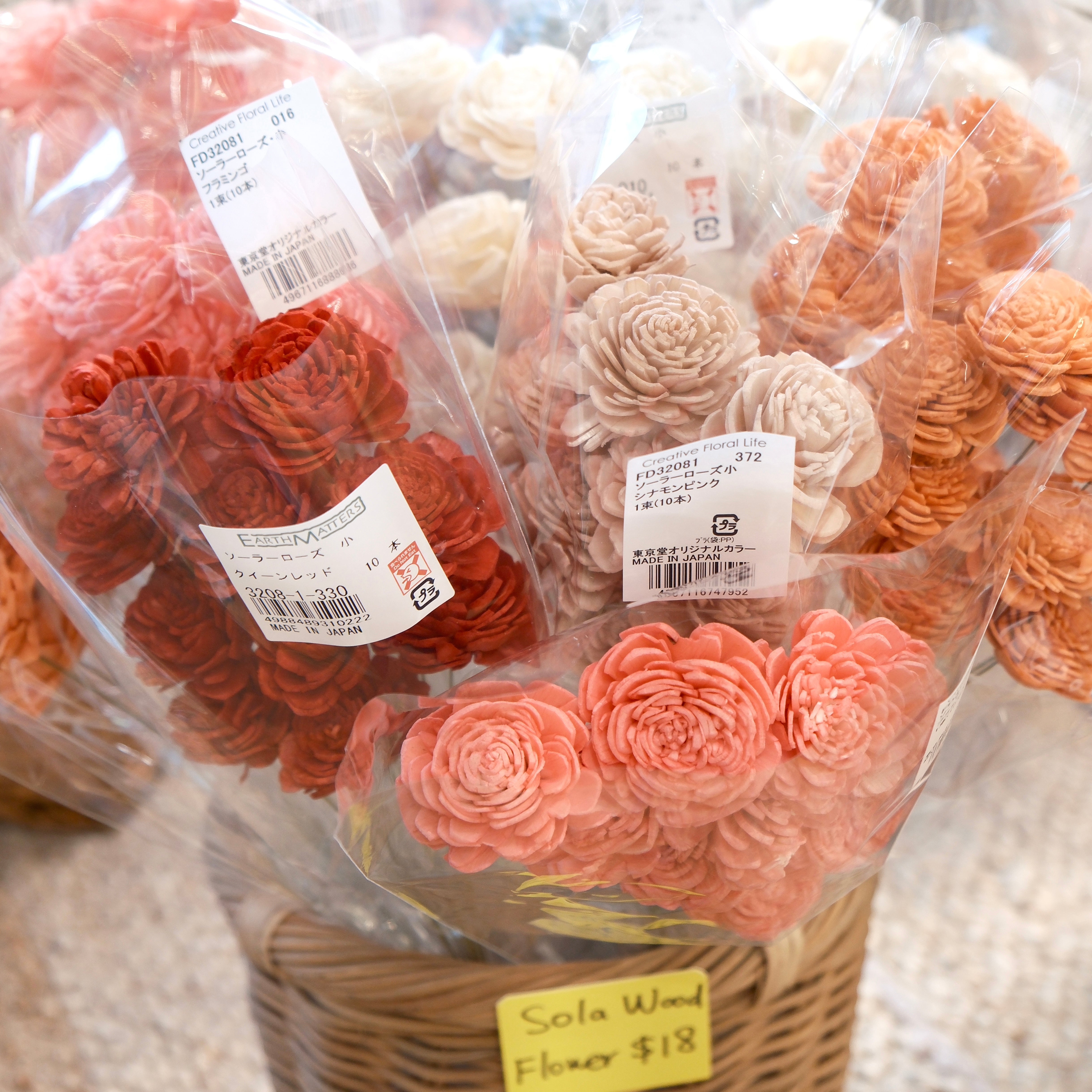 Japan Sola Wood Flower – Moonwareusa