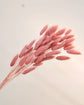 Japan Preserved Flower