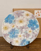 Yuzuriha 24cm Plate 花友禅(Gift Box）