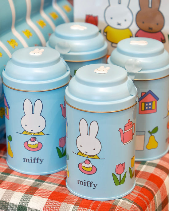 Japan Miffy Chocolate A  (6 pieces)