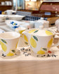 Hasami ware Lemon Teapot Set (Gift Box)