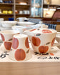 Hasami ware Apple Teapot Set (Gift Box)
