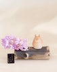 Shigaraki Totoro Flower Vase(Gift Box)