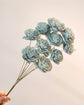 Japan Sola Wood Flower