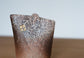Shigaraki S Flower Vase(Gift Box)