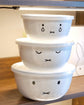 Fuji Horo 3pcs Container Miffy Series (Gift Box)