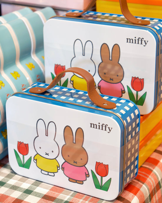 Japan Miffy Chocolate D (10 pieces)