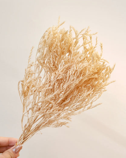 Japan Preserved Flower