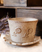 Japan Artist Fuji Gallery Free cup 280ml/Mini plate