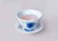 Arita ware Rainbow Sakura Teapot 5pcs set(Gift Box)