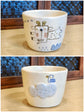 Artist 古澤彩 290ml Free Cup