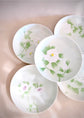 Hasami ware 5pcs Flower Plate 18.5cm(Gift Box)