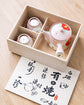Arita ware Camellia Teapot Cups set(Wooden box)