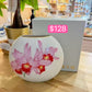 Special Order 1