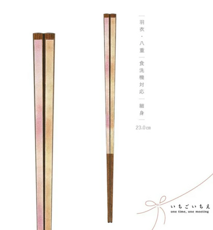 Japan Hagoromo 23cm Blue/Pink Chopsticks