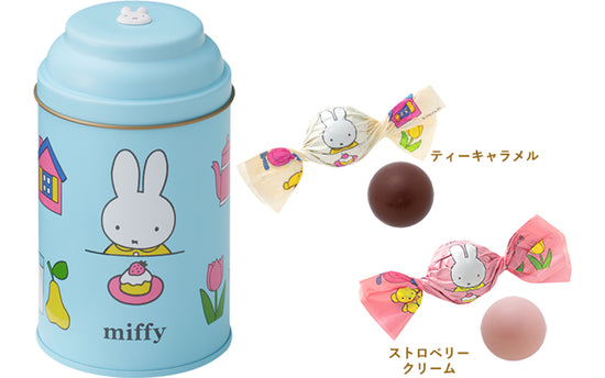 Japan Miffy Chocolate A  (6 pieces)