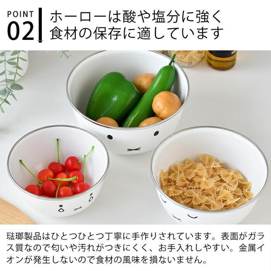 Fuji Horo 3pcs Container Miffy Series (Gift Box)
