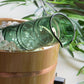 Hirota Bamboo Green Sake Cup Set(L/M)(Gift Box)