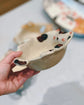 Hasami ware Cutie Kitty Rice Bowl