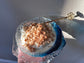 Toyo-Sasaki Glass S Bowl/Plate