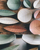 日本作家小松诚作品叶皿陶瓷系列独立礼盒装
