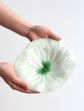Hasami ware Leaf 22cm Plate L Size(Gift Box)